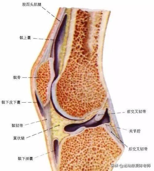 膝盖脂肪垫损伤上楼梯会有刺痛感吗?