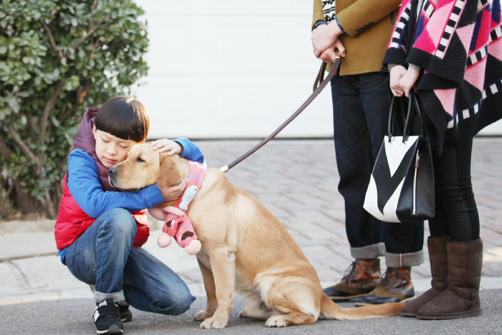 【图】神犬小七大结局小七死没让小编为大家揭开其背后的故事