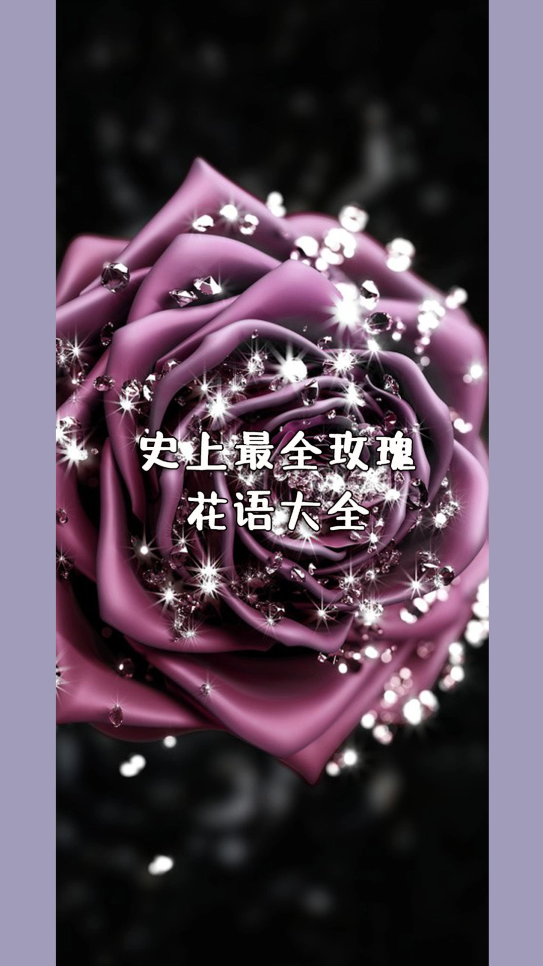 玫瑰花语33朵代表什么(玫瑰花语33朵代表什么寓意)