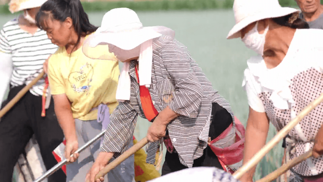 北京最大的“菜地”在哪里？