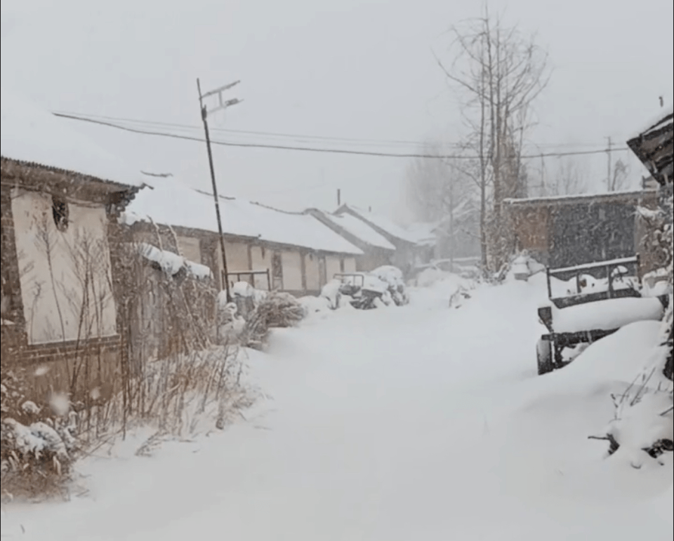 烟台威海遭遇极端性冷流暴雪，网友：宛如北极科考！