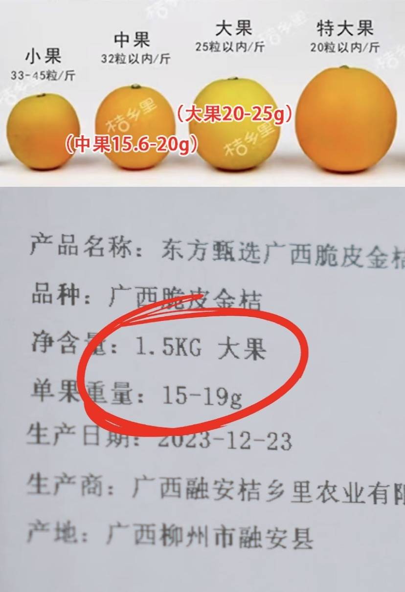 东方甄选所售融安金桔被打假 ！官方回应：脆皮金桔不是融安的，混淆品种确实不妥