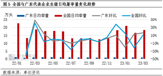 卓创资讯：广东猪价“风光不再” 短时难回高价地位