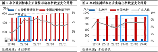 卓创资讯：广东猪价“风光不再” 短时难回高价地位