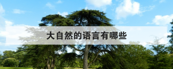 灞[需手动填充][需手动填充][需手动填充][需手动填充]よ焼鍑烘礊锛