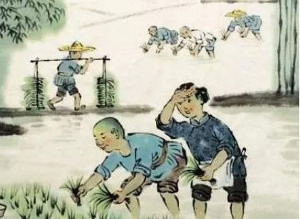 白话译文《来自四时田园杂兴（其一）》（其一）