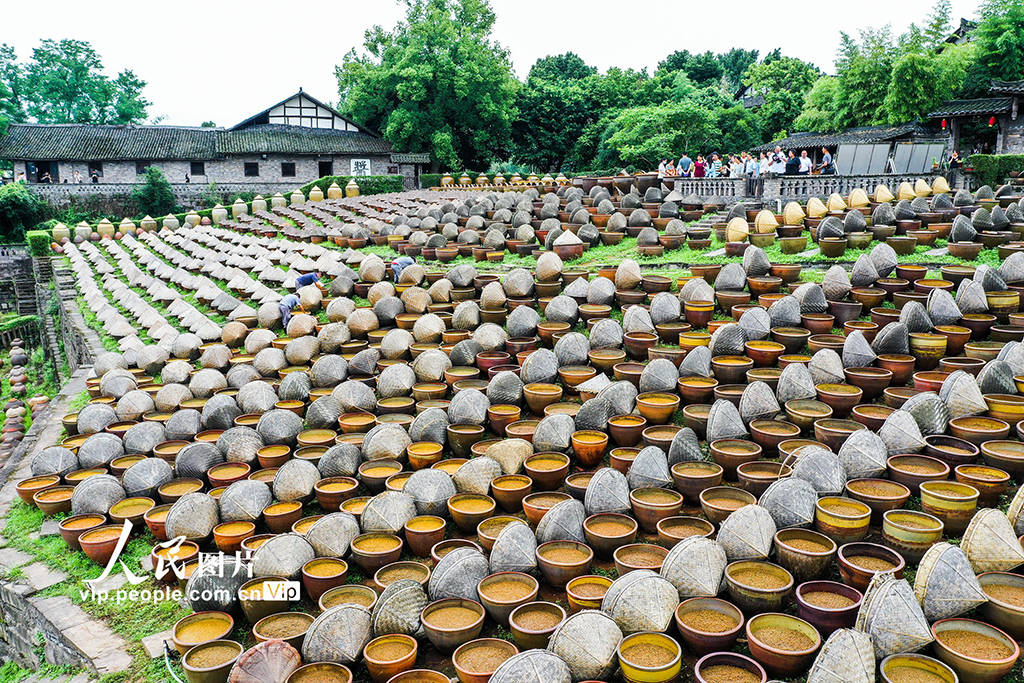 四川合江：传统古法酿酱油