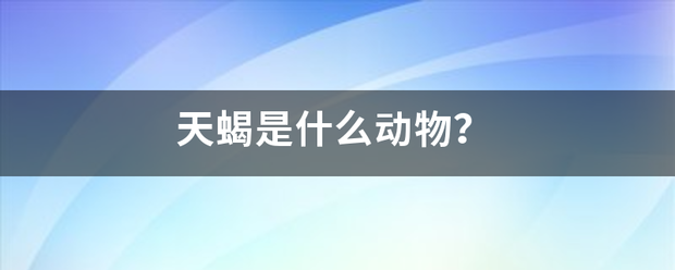 天蝎是什么动物？