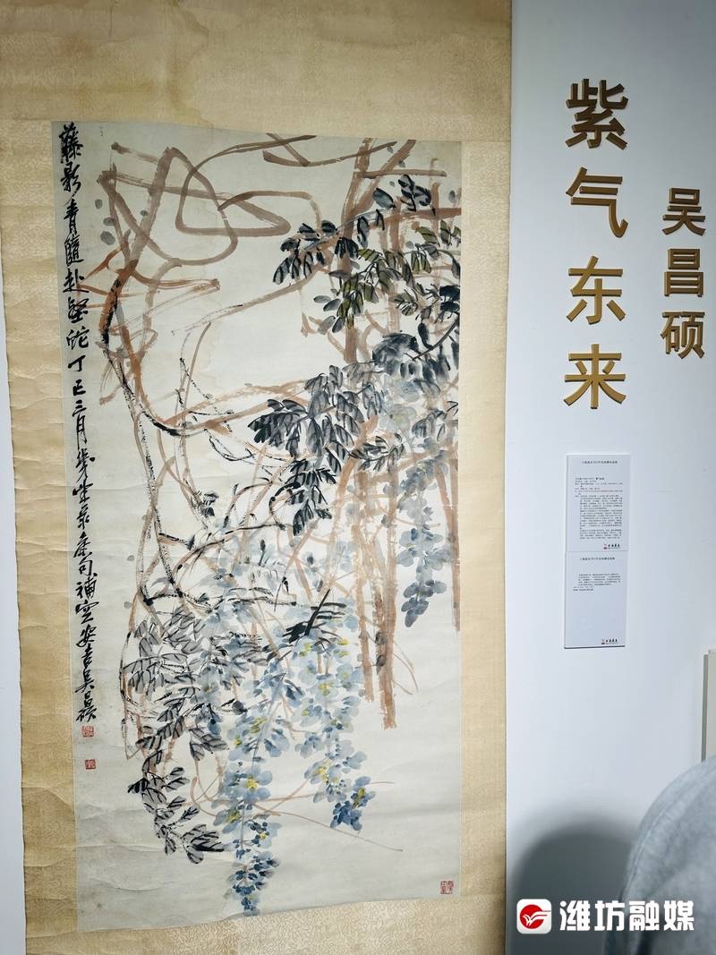 沈周、郑板桥、齐白石……60余幅精品力作亮相潍坊！