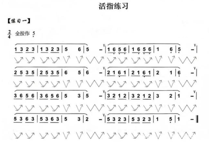 葫芦丝教学入门指法 视频教程 如何学葫芦丝? 葫芦丝教学入门指法 视频教程 如何学葫芦丝?