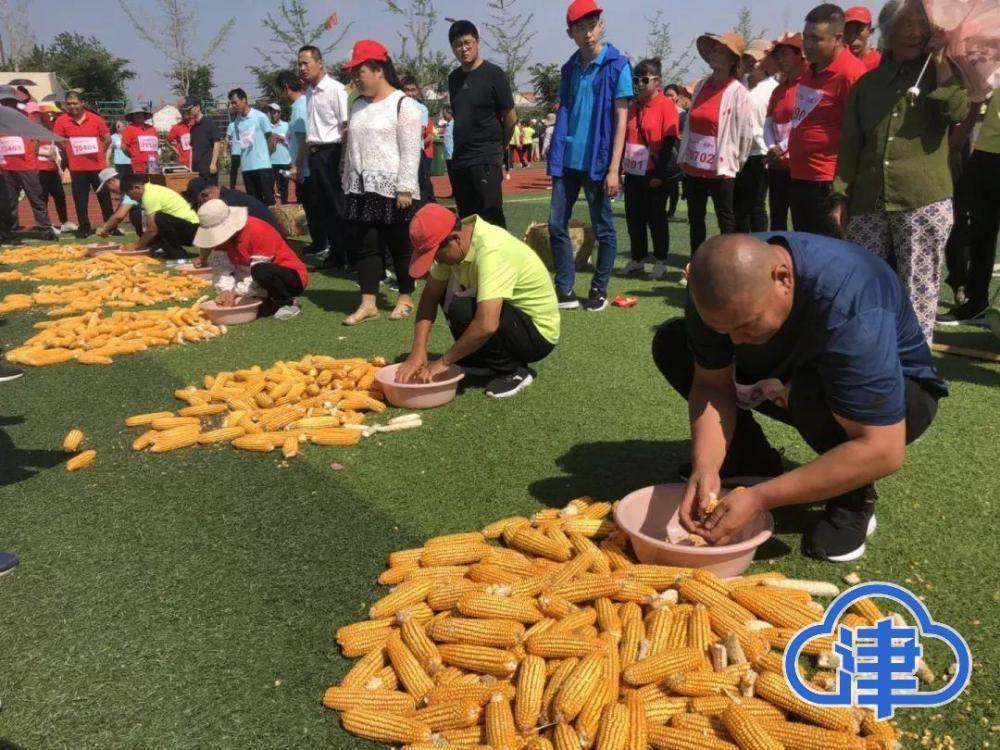 “相遇津北 遇见星辰”津辰游园节启动