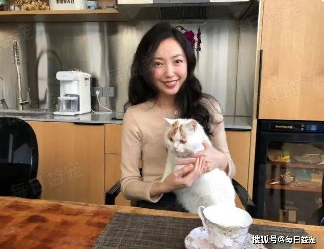 委屈小猫眼巴巴求撸，靠卖惨榜上京城富婆，妥妥的“绿茶婊”