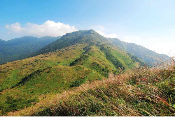 穿山甲生活在哪个地区 葫芦娃的家乡