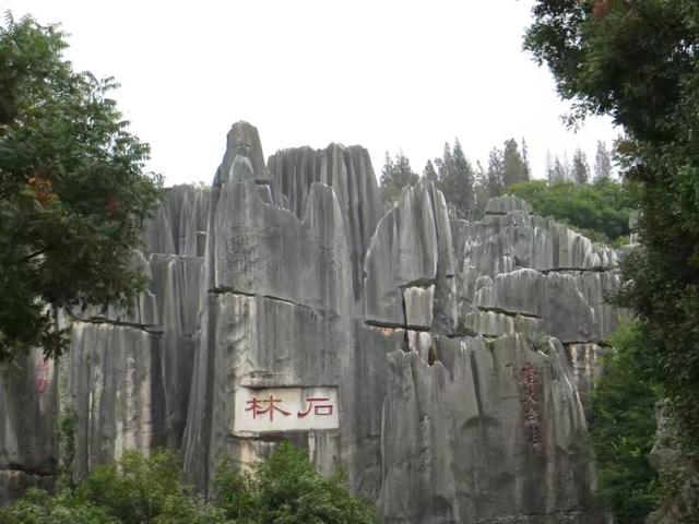 孔府孔庙孔林游玩顺序 山东旅游顺序