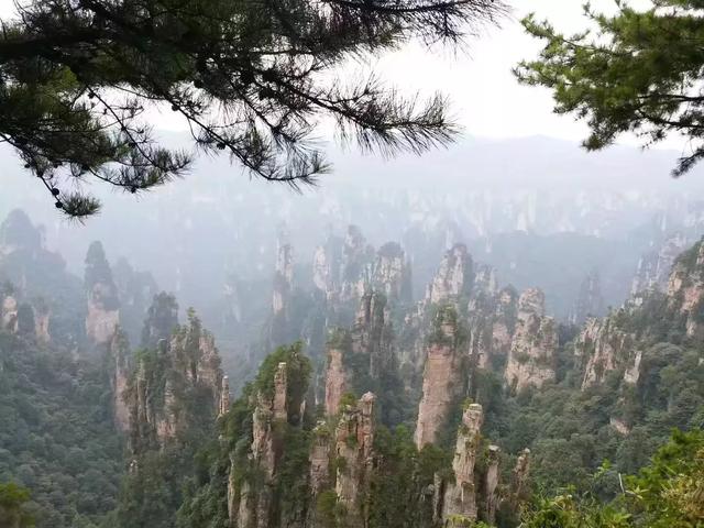 孔府孔庙孔林游玩顺序 山东旅游顺序