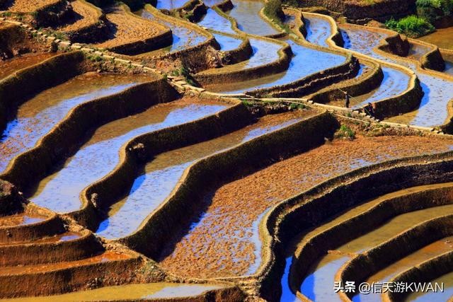 云南旅游几月份最佳时间 12月份到云南旅游合适吗？适合去云南哪里