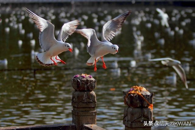 云南旅游几月份最佳时间 12月份到云南旅游合适吗？适合去云南哪里