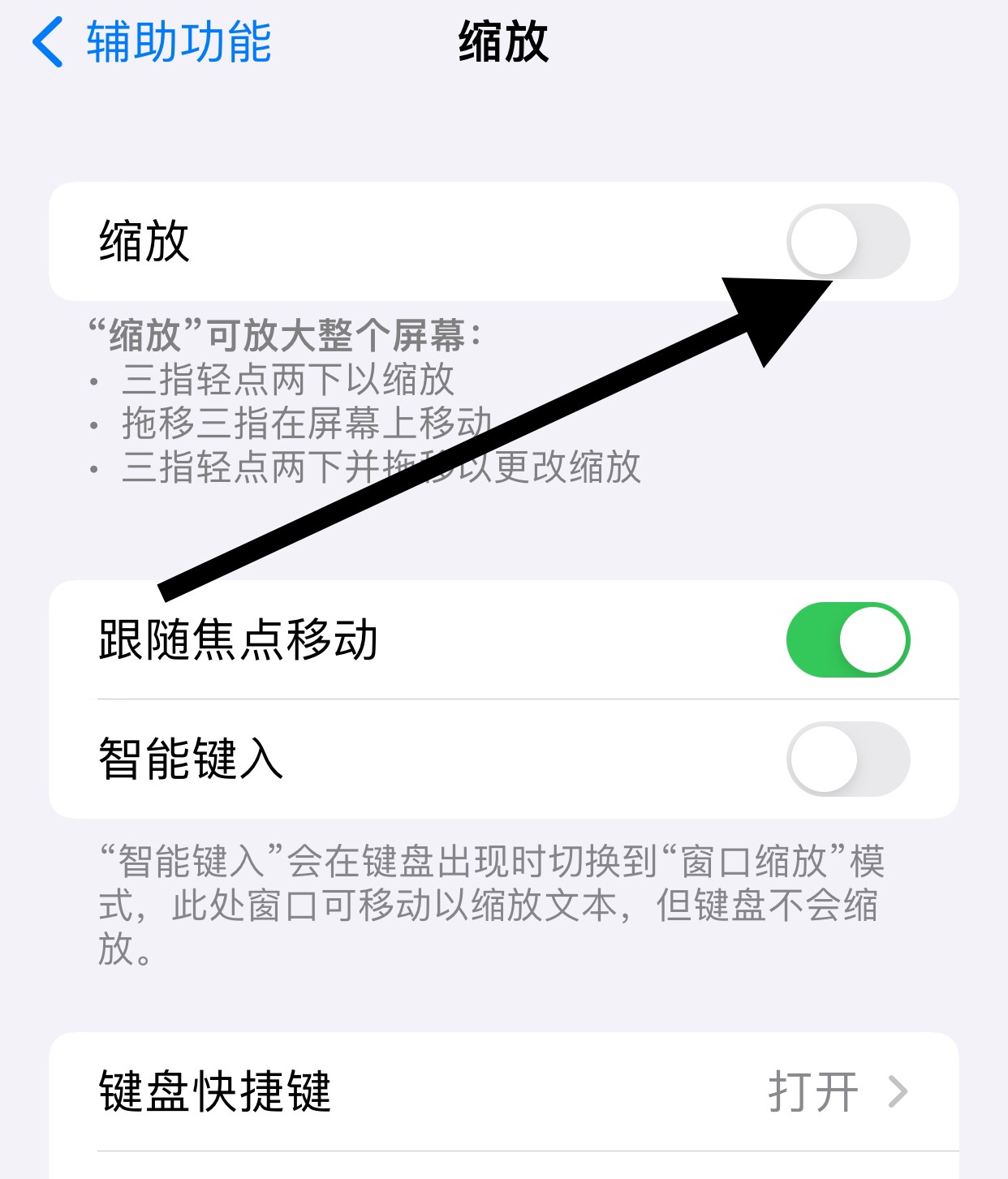  iphone的放大镜怎么取消 苹果手机放大镜在屏幕如何取消