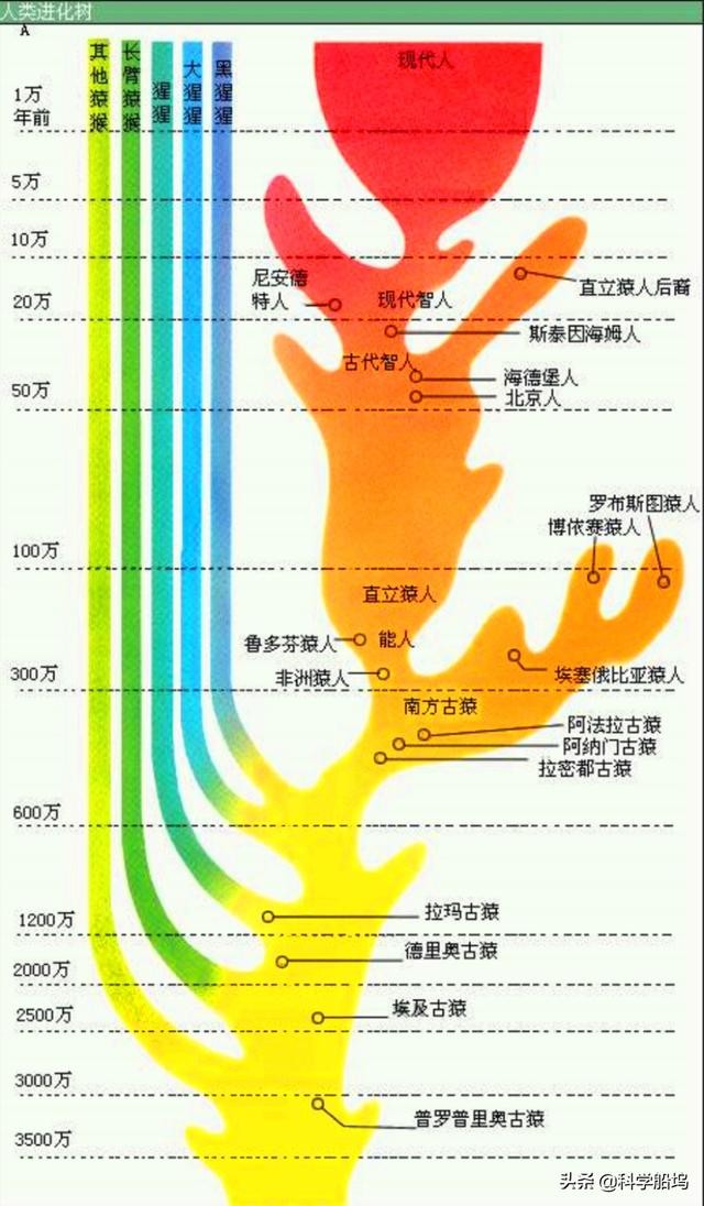  人和什么动物杂交能繁殖 人与动物是人伦问题吗