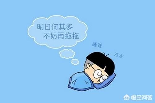  行动力英文 高效行动力是什么