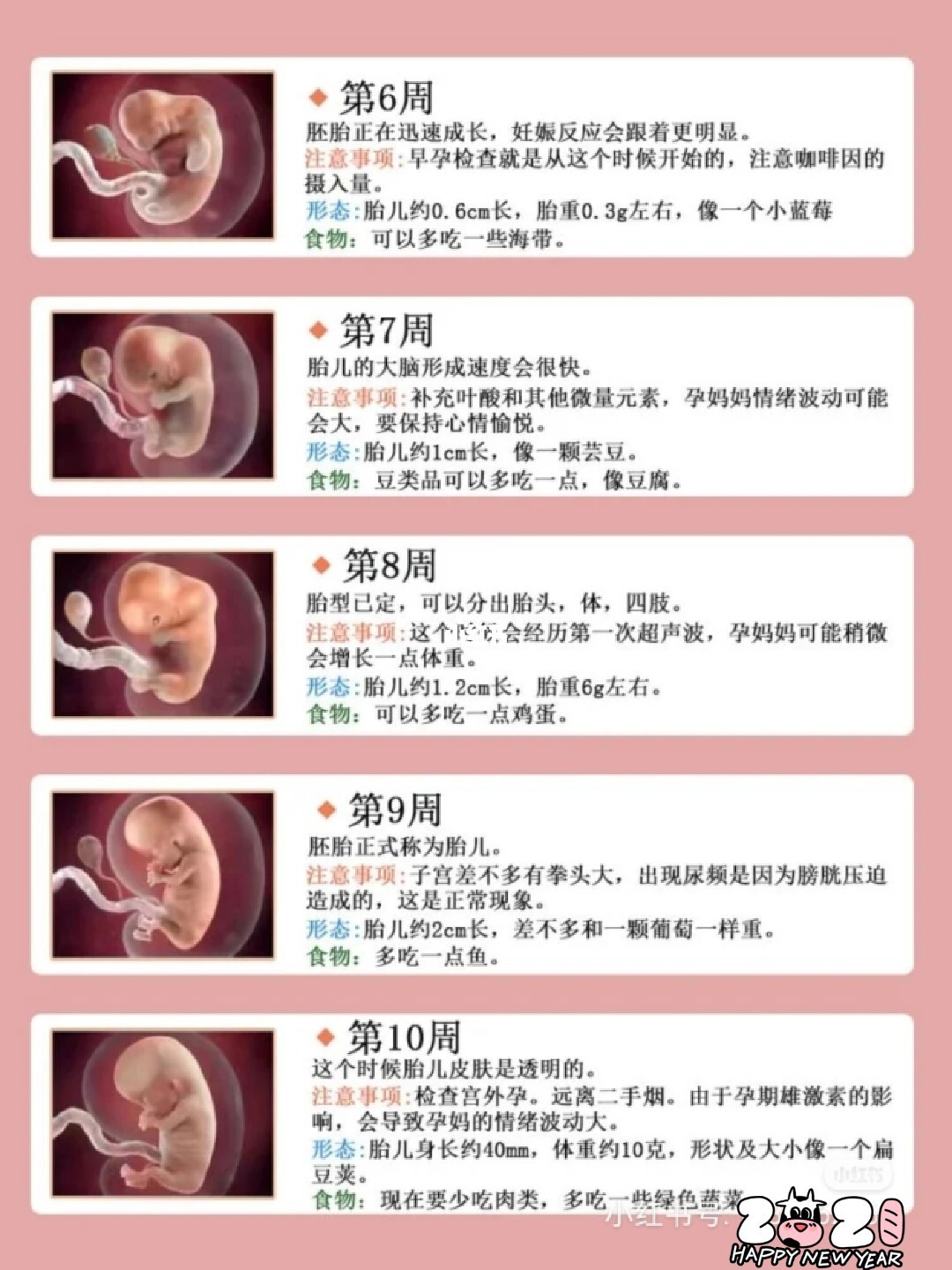 怀孕35周_怀孕31周孕10周腰酸_怀孕10周怀孕十周胎儿图