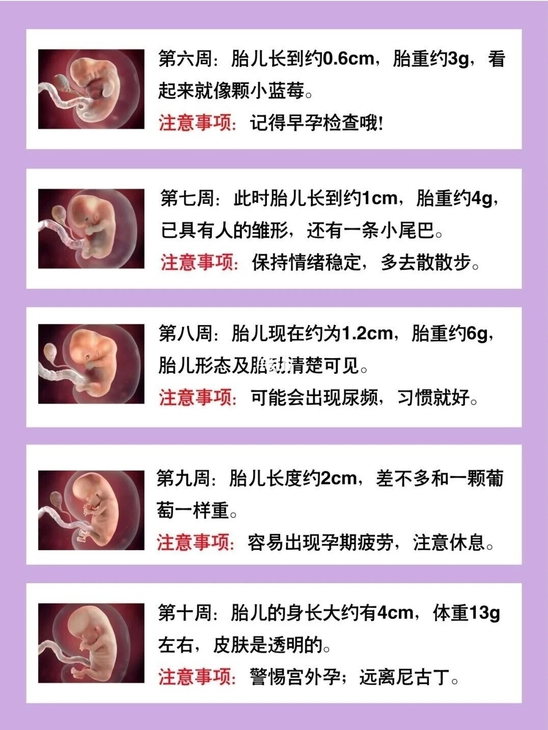 怀孕31周孕10周腰酸_怀孕35周_怀孕10周怀孕十周胎儿图