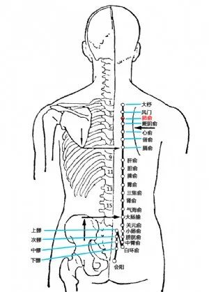 肺俞穴_肺俞穴_肺俞穴