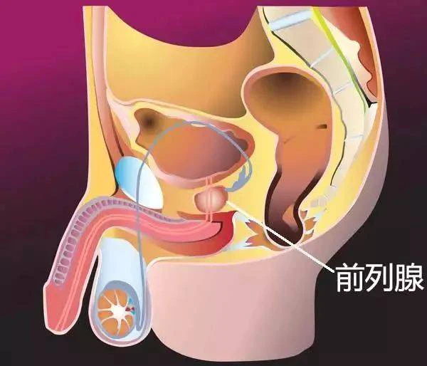 男性尿道疼痛小便刺痛_男性_男性下面发痒是什么原因