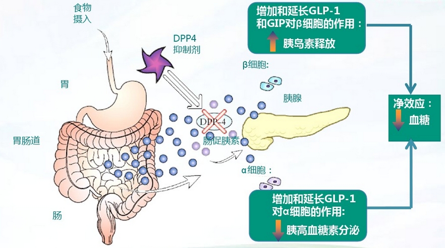 慢性并发症_慢性疾病并发症_慢性并发症有哪些症状