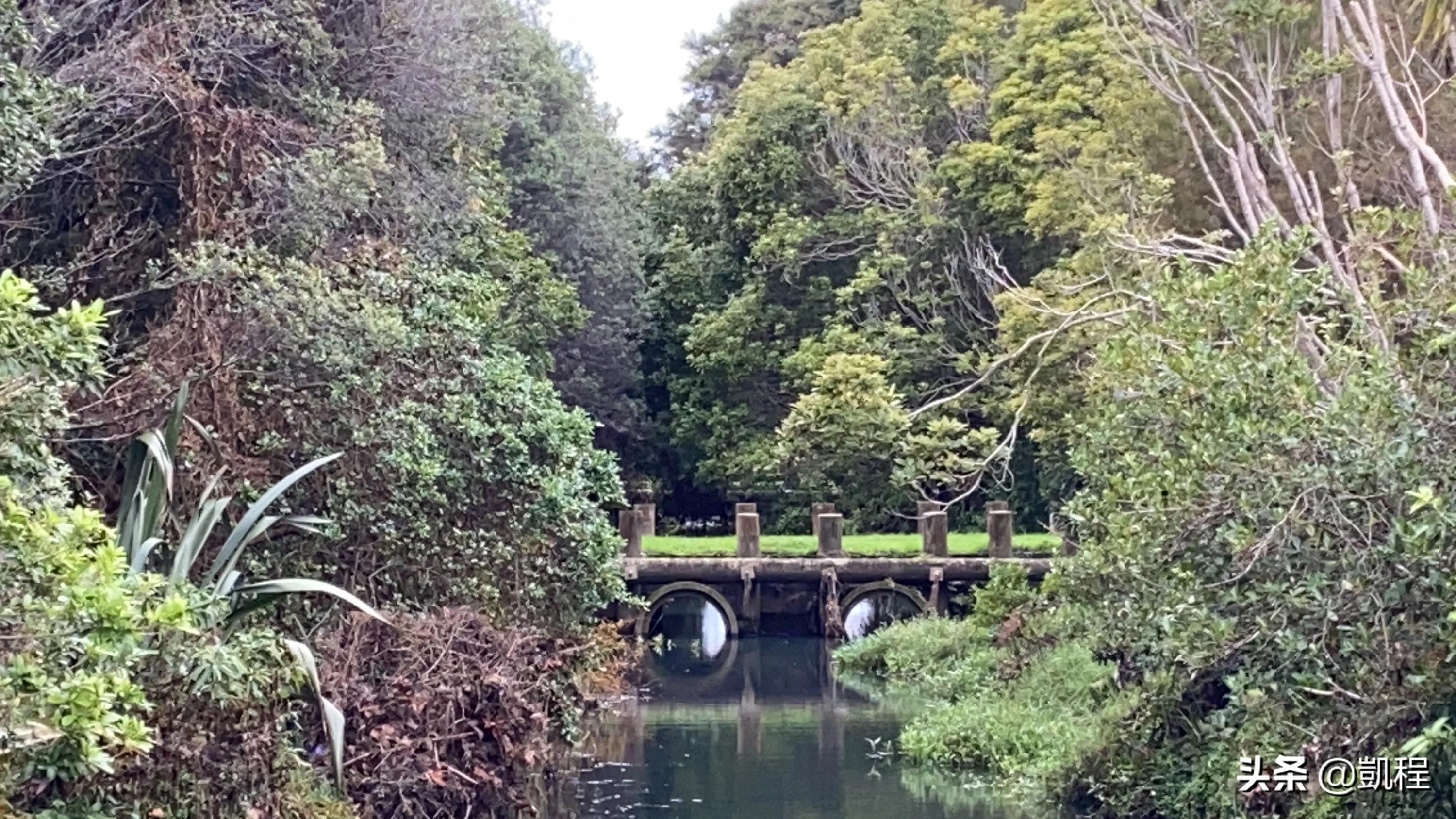 旅游援疆把美丽资源变现 请问旅游和旅行有什么实质性的区别？