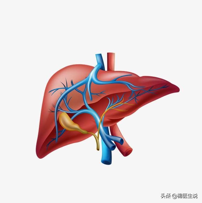 肝癌的早期症状有哪些 肝癌来临，身体会有“2处黄、3处痛”，指的是什么？