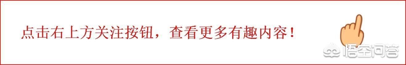 大伊山石棺墓 薛仁贵的衣棺墓在哪？