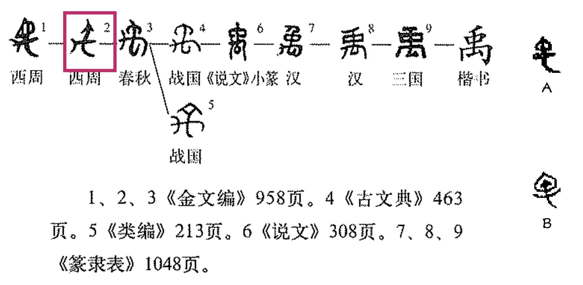 经络实质是什么？