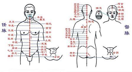 经络实质是什么？