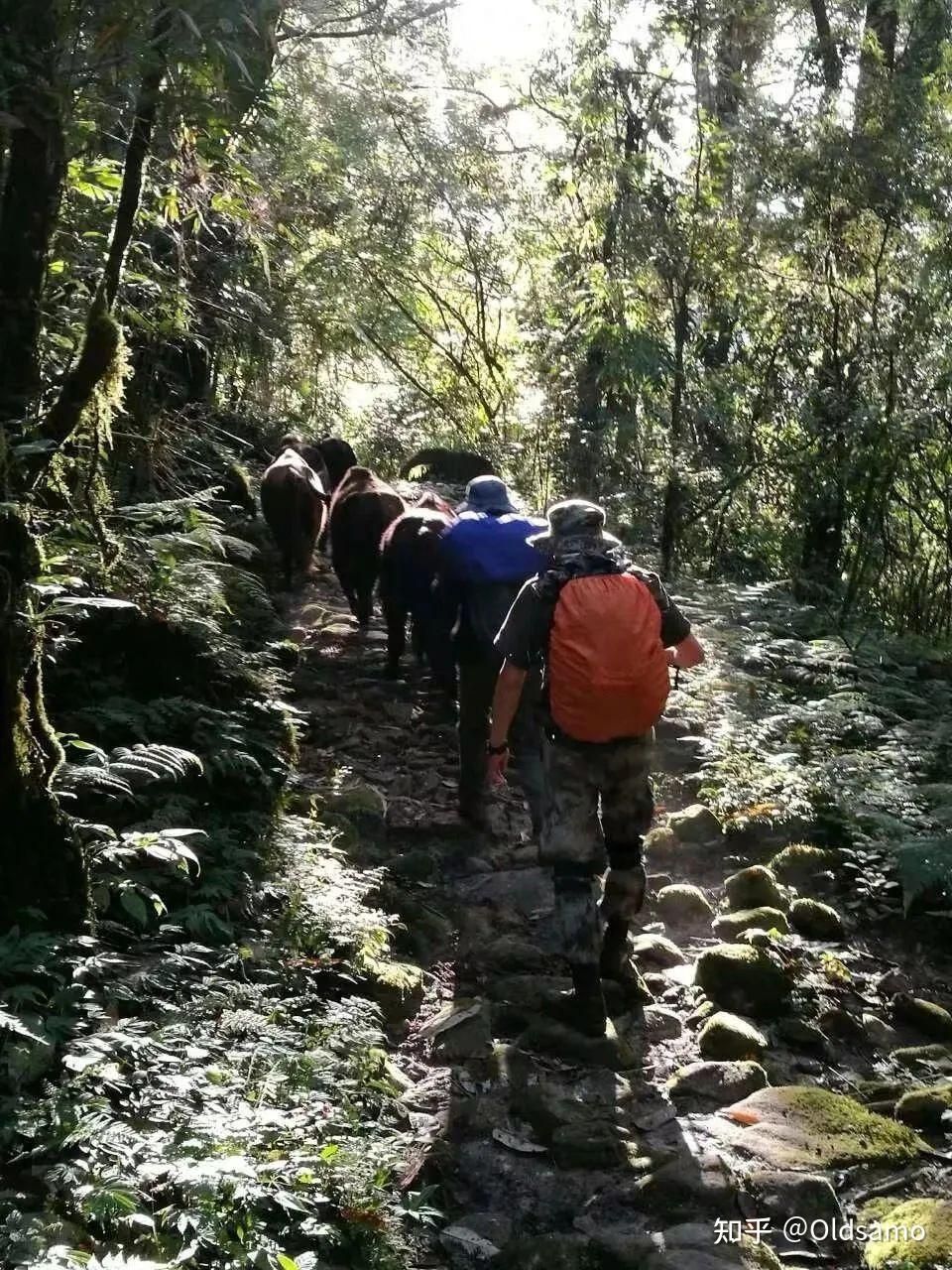 中国的十大徒步旅行线是哪些？