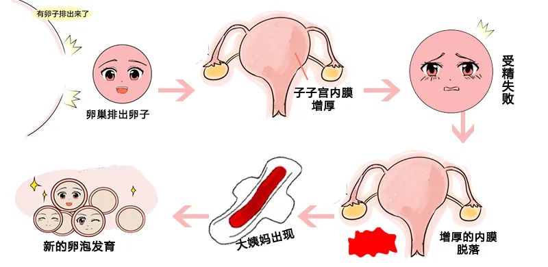 褐色白带_褐色白带_褐色白带