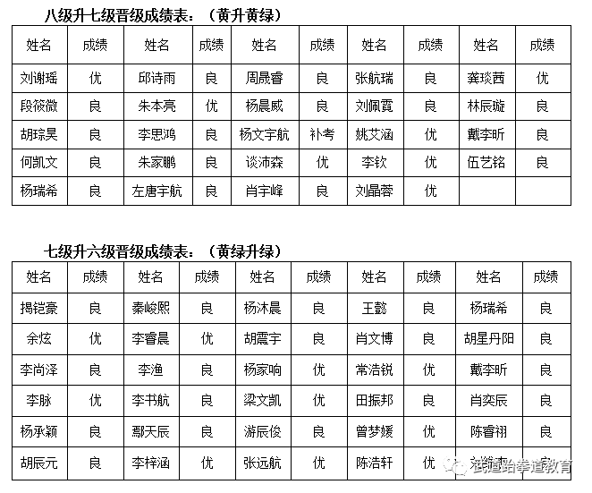 元武道_武道元解疯子木_武道元神