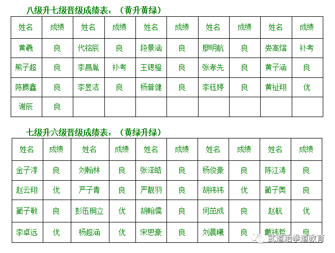 武道元神_元武道_武道元解疯子木