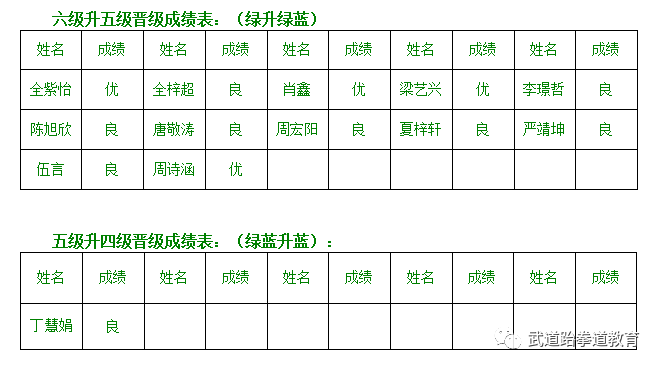 元武道_武道元解疯子木_武道元神