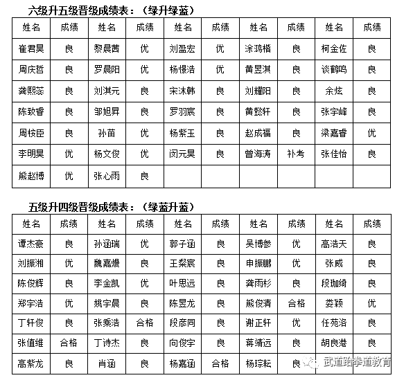 武道元解疯子木_武道元神_元武道