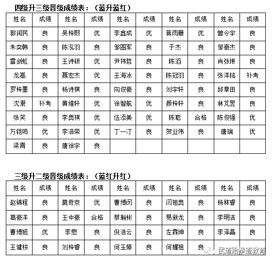 武道元神_武道元解疯子木_元武道