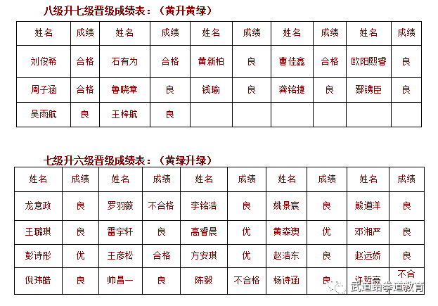 元武道_武道元解疯子木_武道元神