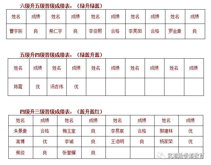 武道元解疯子木_元武道_武道元神