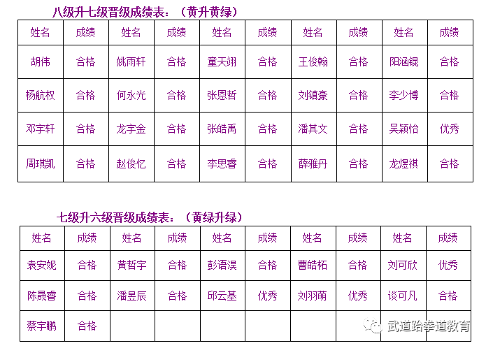 武道元神_元武道_武道元解疯子木