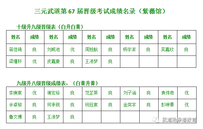 武道元神_元武道_武道元解疯子木